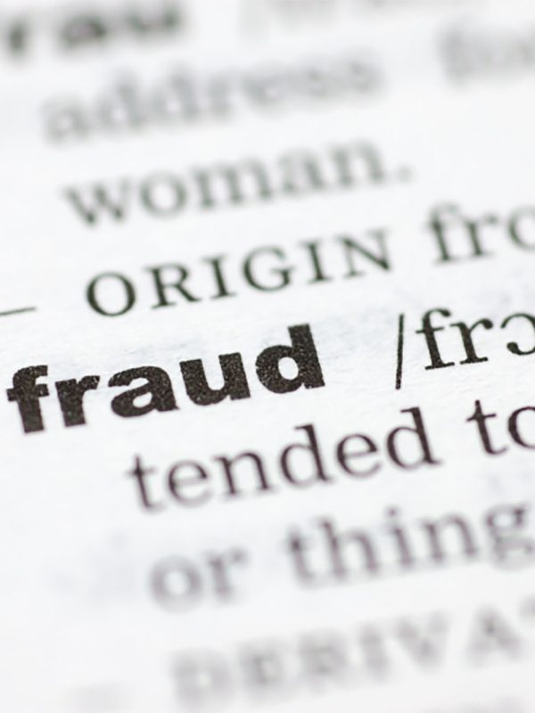 Fraud Dictionary - Image cred: NationalMortgageProfessional.com.